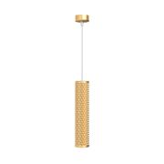 Подвесной светильник Technical P038PL-01G