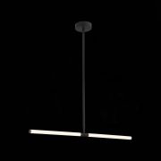 SL393.403.02 Светильник потолочный ST-Luce Черный/Белый LED 2*10W 4000K BISARIA