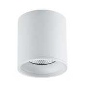 ST165.532.12 Светильник потолочный Белый LED 1*12W 3000K 840Lm Ra>90 36° IP44 D80xH85 85-265V Накладные светильники