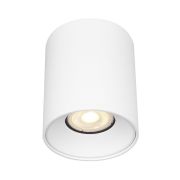 ST167.502.01 Светильник потолочный Белый GU10 1*50W IP20 D80xH95 220V Без ламп Накладные светильники