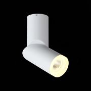 ST107.502.10 Светильник потолочный Белый LED 1*10W 3000K 780Lm Ra>80  D50xH168 170-240V Накладные светильники
