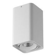 052336-IP65 Светильник MONOCCO LED10W 600LM 30G БЕЛЫЙ 3000K