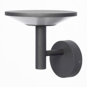 Citilux Dorn CLU05W LED Уличный настенный светильник Графит