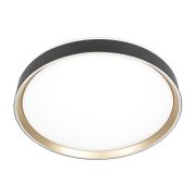 Citilux BOSS CL751451G LED RGB Светильник с пультом Чёрный с Золотом