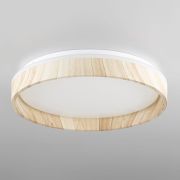 Citilux ENZO CL753352G LED RGB Светильник с пультом Клён