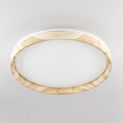 Citilux ENZO CL753452G LED RGB Светильник с пультом Клён