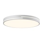 Citilux Купер Лайн CL72495GL0 LED RGB Светильник с пультом Белый