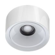 Citilux ROVER CL743060N LED Накладной светильник Белый