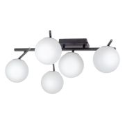 Citilux DORSY CL223152 LED Люстра поворотная Чёрная