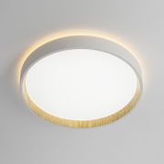 Citilux ETALON CL750240 LED Светильник с подсветкой Белый+Бук