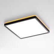 Citilux NORMA CL749K301 RGB Светильник с пультом Чёрный