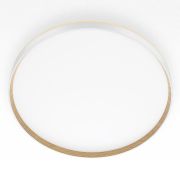 Citilux ETALON CL750500R LED RGB Светильник с пультом Белый+Бук