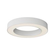 Потолочный светильник Technical C093CL-36W3K-W