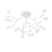 Потолочный светильник Freya FR5049CL-36W1